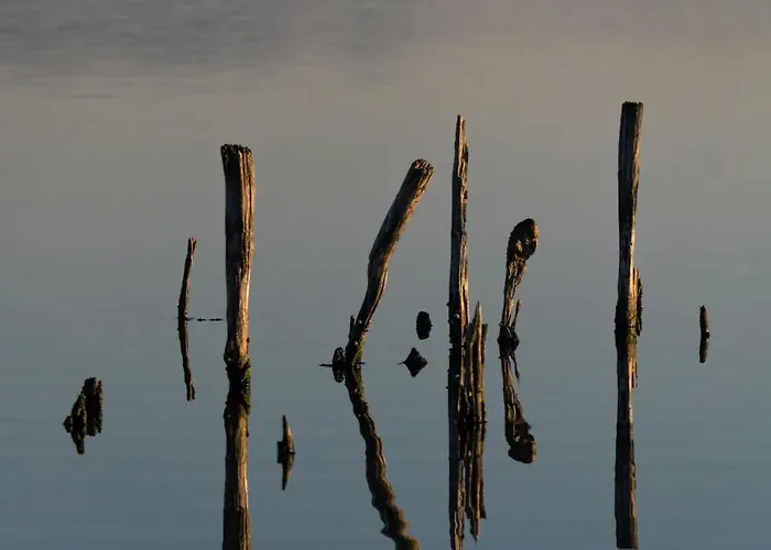 Cosher - Gardenia Palace 10 Free Parking *